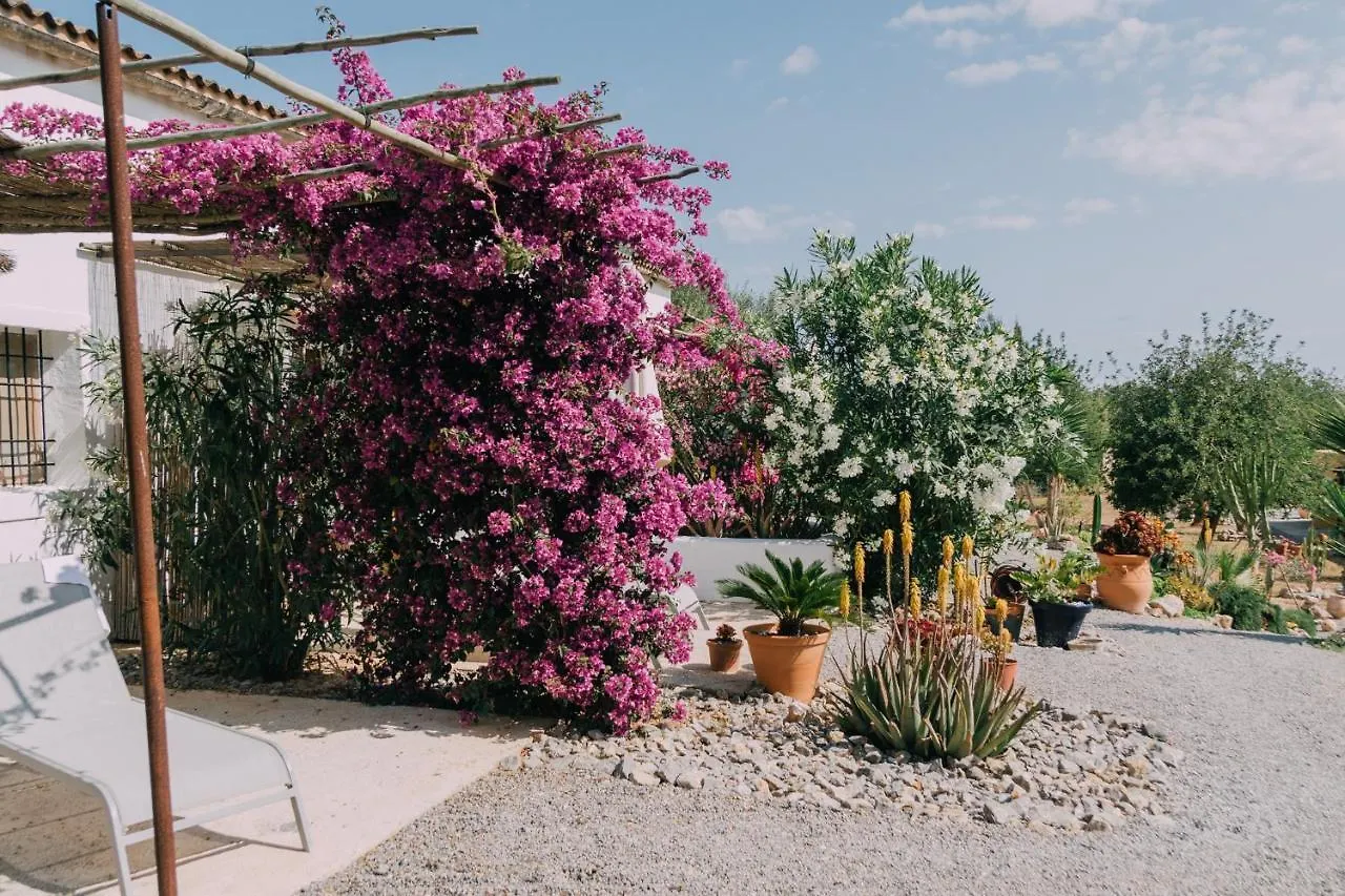 Séjour à la campagne Las Mariposas Sant Antoni de Portmany Espagne