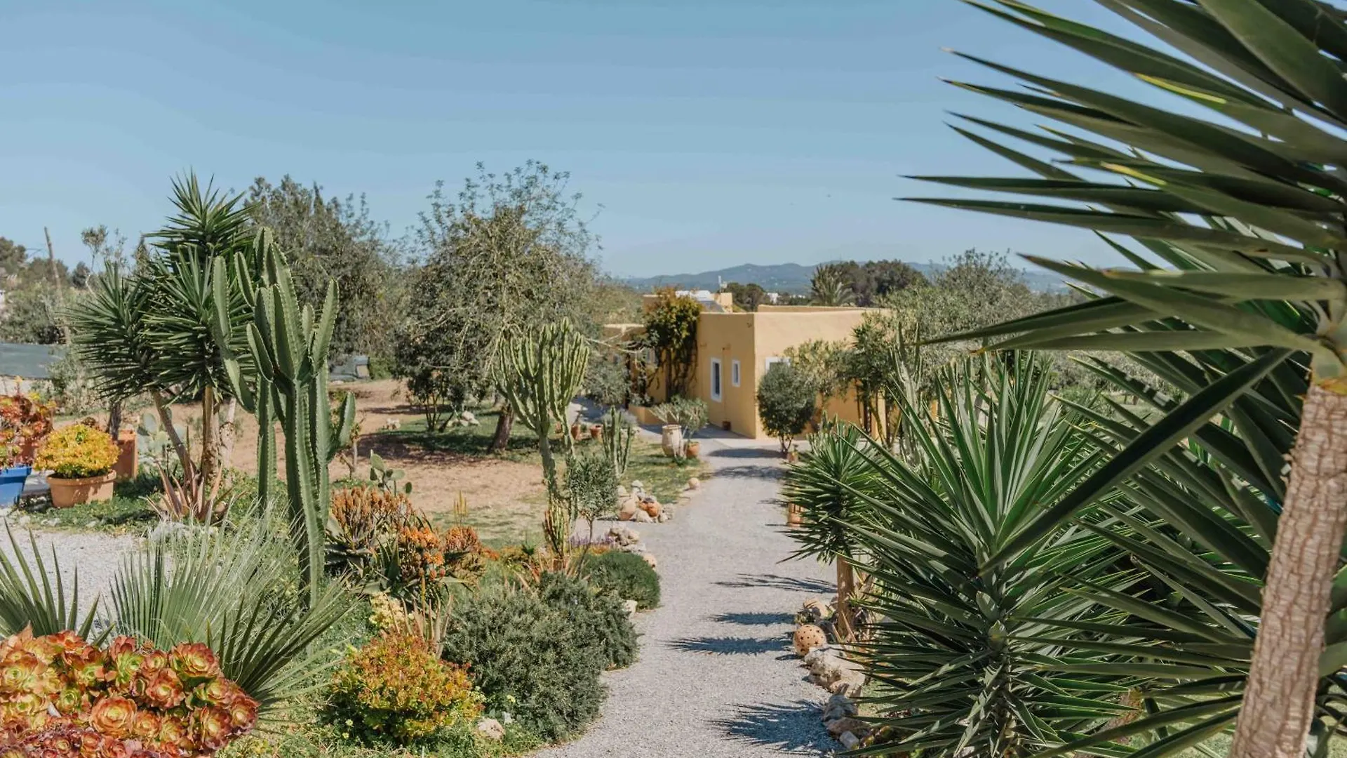 Las Mariposas Sant Antoni de Portmany